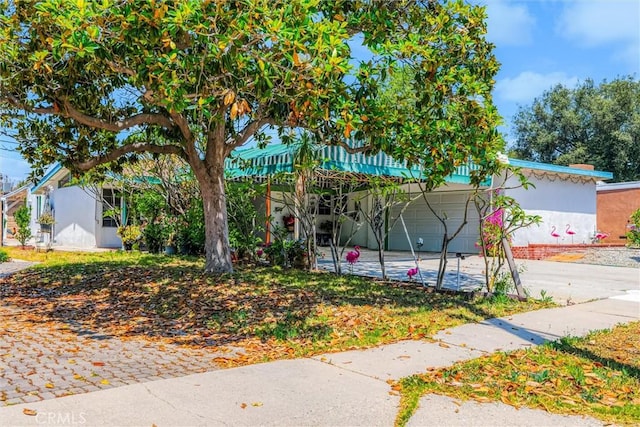 10847 Monogram Ave, Granada Hills, CA 91344 - view of property hidden behind natural elements with concrete driveway and a garage