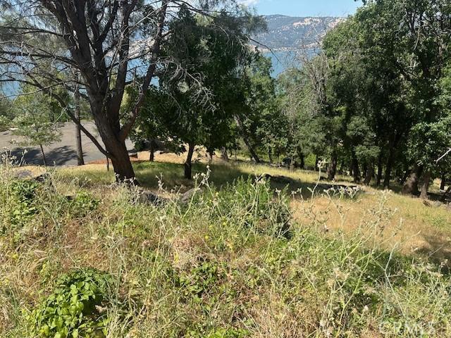 3048 Riviera Heights Dr, Kelseyville, CA 95451 - photo 4