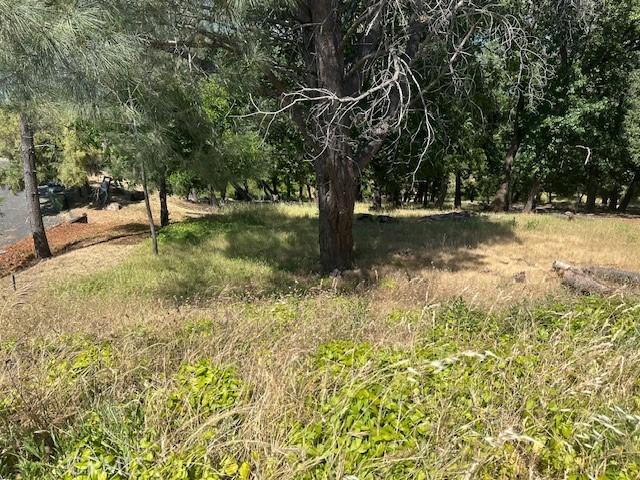 3048 Riviera Heights Dr, Kelseyville, CA 95451 - photo 3