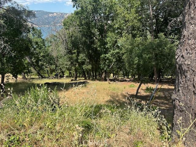 3048 Riviera Heights Dr, Kelseyville, CA 95451 - photo 5