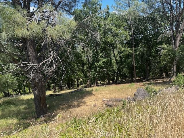 3048 Riviera Heights Dr, Kelseyville, CA 95451 - photo 2