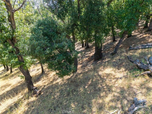 3048 Riviera Heights Dr, Kelseyville, CA 95451 - photo 13