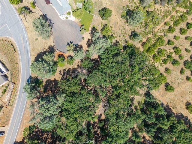 3048 Riviera Heights Dr, Kelseyville, CA 95451 - photo 21