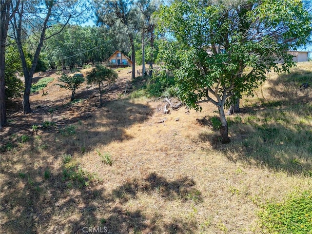 3048 Riviera Heights Dr, Kelseyville, CA 95451 - photo 12