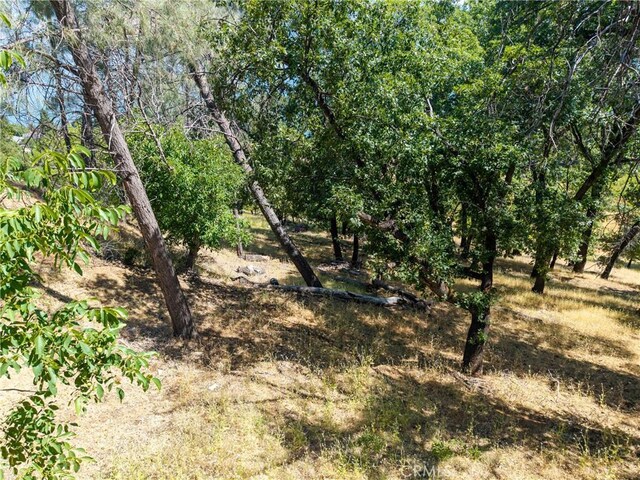 3048 Riviera Heights Dr, Kelseyville, CA 95451 - photo 15