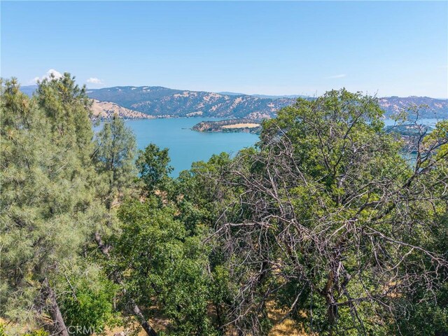3048 Riviera Heights Dr, Kelseyville, CA 95451 - photo 20
