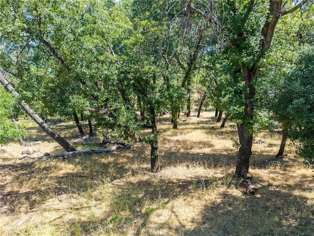 3048 Riviera Heights Dr, Kelseyville, CA 95451 - photo 14
