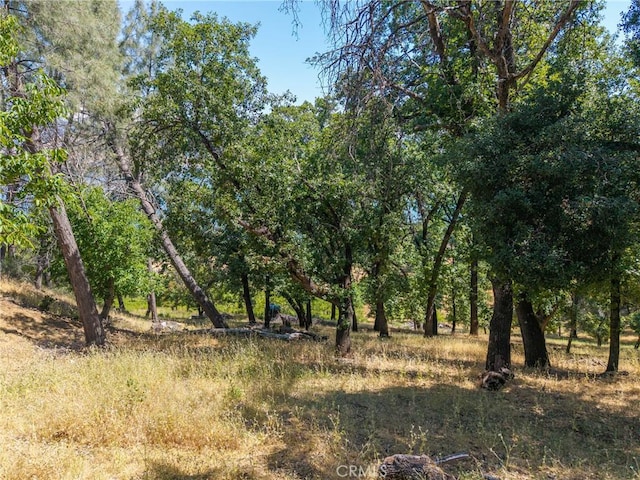 3048 Riviera Heights Dr, Kelseyville, CA 95451 - photo 17