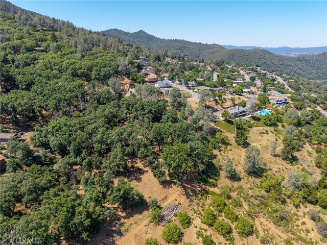 3048 Riviera Heights Dr, Kelseyville, CA 95451 - photo 11