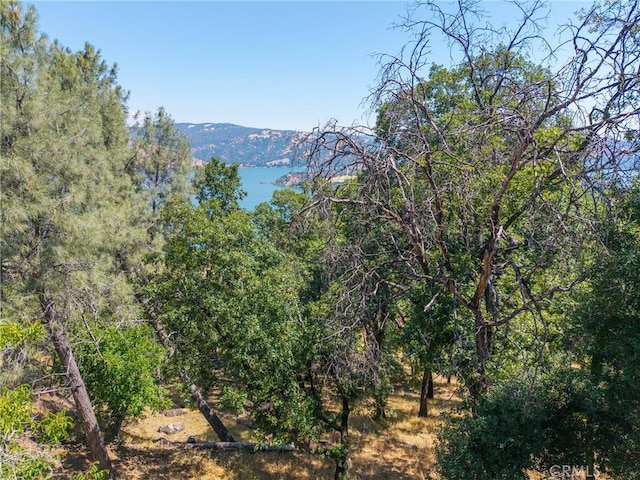 3048 Riviera Heights Dr, Kelseyville, CA 95451 - photo 19