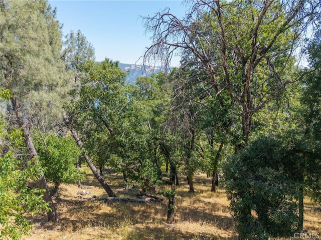 3048 Riviera Heights Dr, Kelseyville, CA 95451 - photo 18