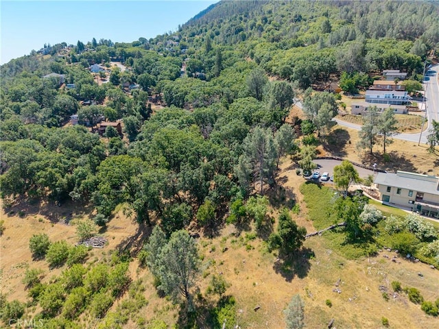 3048 Riviera Heights Dr, Kelseyville, CA 95451 - photo 8