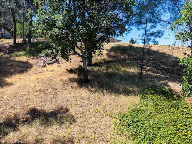 3048 Riviera Heights Dr, Kelseyville, CA 95451 - photo 16