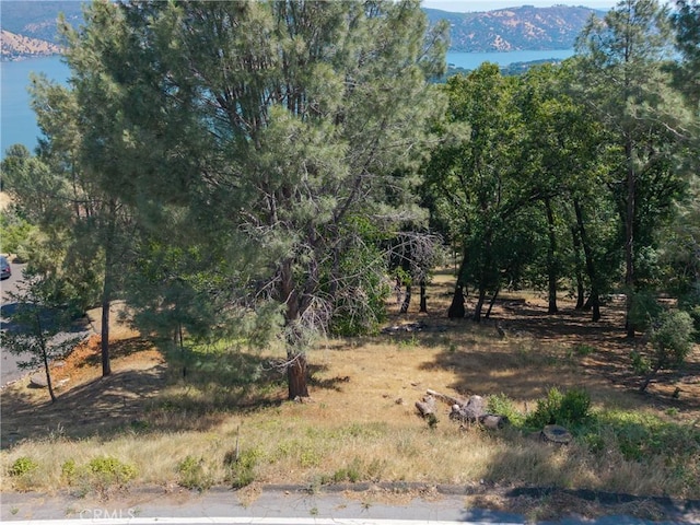 3048 Riviera Heights Dr, Kelseyville, CA 95451 - photo 6