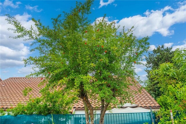 16247 Elza Dr, Hacienda Heights, CA 91745 - view of side of property with a tiled roof