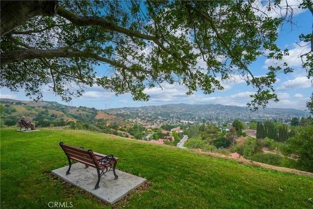 16247 Elza Dr, Hacienda Heights, CA 91745 - photo 47