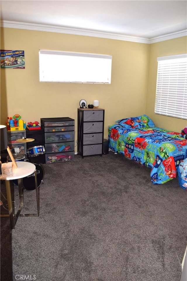 920 Nettle Ct, Corona, CA 92878 - bedroom featuring carpet, multiple windows, and ornamental molding