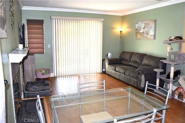 920 Nettle Ct, Corona, CA 92878 - living area featuring a fireplace, wood finished floors, and crown molding
