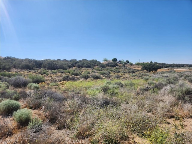 11250 Duxbury Rd, Oak Hills, CA 92344