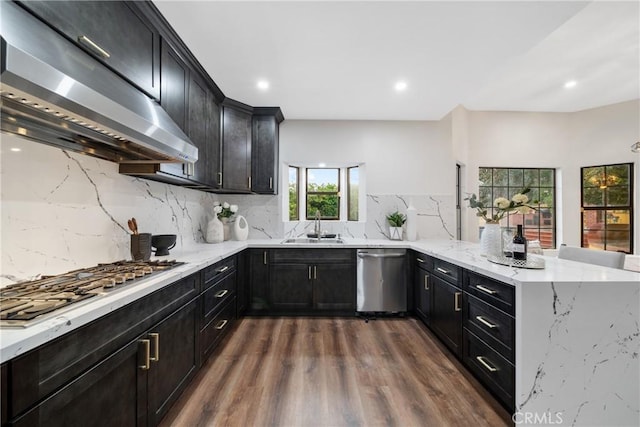 2545 Scenic Ridge Dr, Chino Hills, CA 91709 - kitchen with appliances with stainless steel finishes, a sink, range hood, dark wood-style floors, and a peninsula