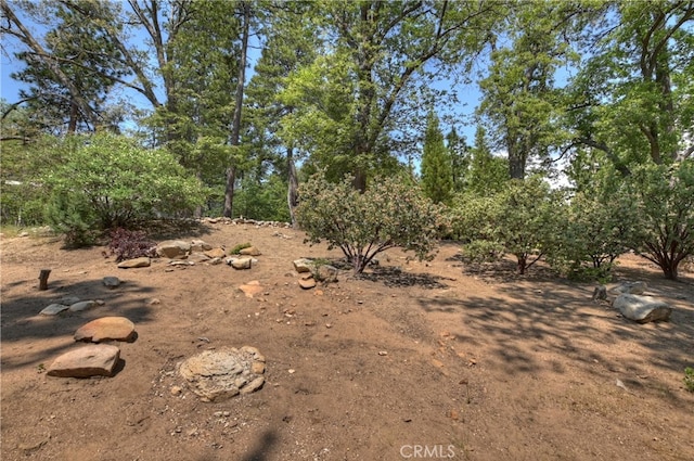 942 Lucerne Ln, Lake Arrowhead, CA 92352 - view of nature