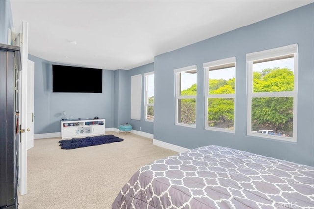 7 Olympic Way, Coto De Caza, CA 92679 - bedroom with carpet floors and multiple windows