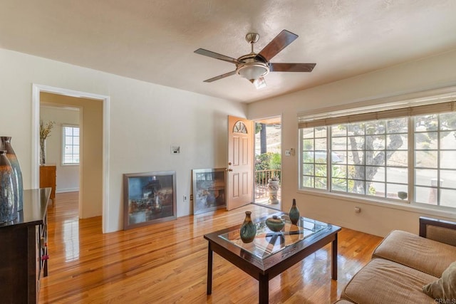 2033 Winnett St, San Diego, CA 92114 - living area featuring light wood-style floors and ceiling fan
