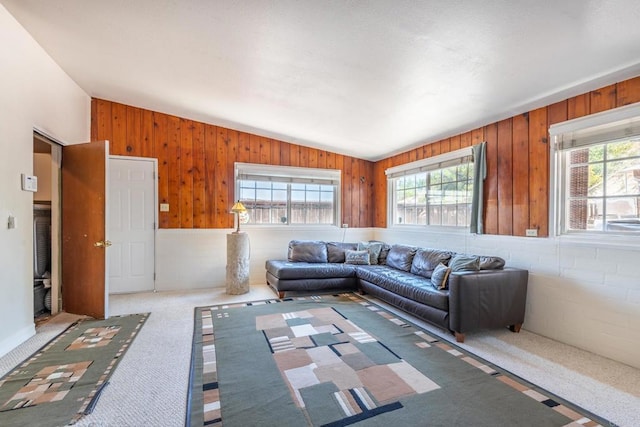 2033 Winnett St, San Diego, CA 92114 - living area featuring vaulted ceiling, wooden walls, and carpet