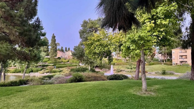 783 Brookstone Rd Unit 104, Chula Vista, CA 91913 - view of property's community featuring a lawn