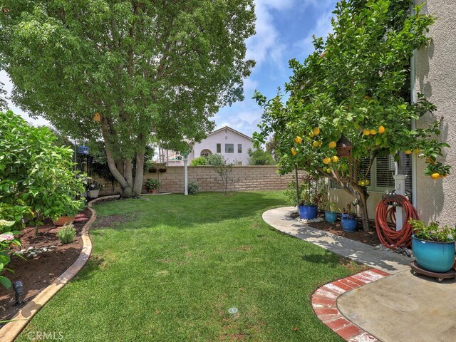 28 Covington, Mission Viejo, CA 92692 - view of fenced backyard