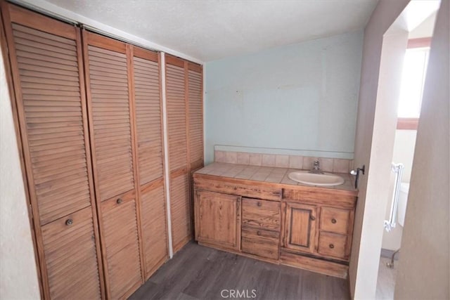 44037 Heaton Ave, Lancaster, CA 93534 - bathroom with wood finished floors, vanity, and a closet