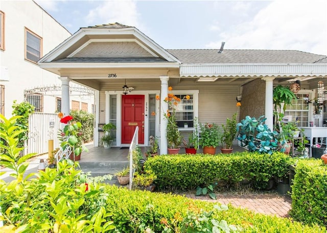 2756 W 15th St, Los Angeles, CA 90006 - view of exterior entry featuring a porch and a shingled roof