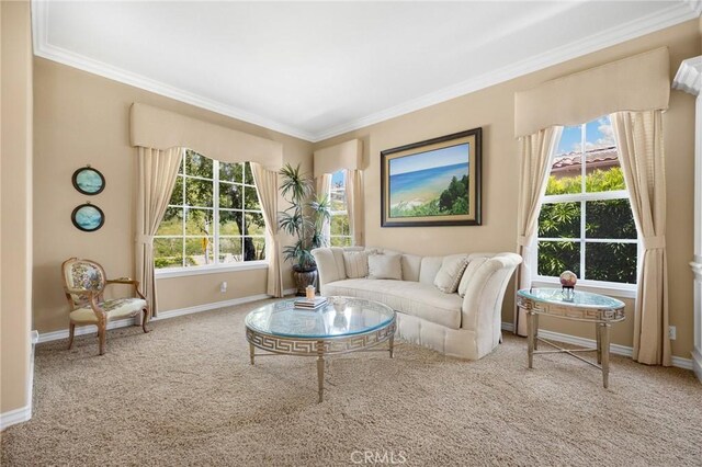 20130 Thagard Way, Yorba Linda, CA 92887 - carpeted living room with ornamental molding and baseboards
