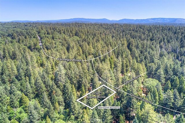 14533 Grinnell Ct, Magalia, CA 95954 - photo 56