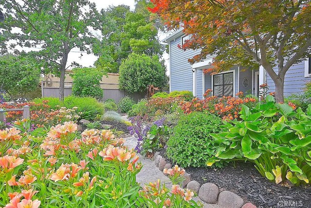 2031 Adams St, Yountville, CA 94599 - photo 6