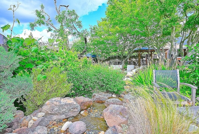 2031 Adams St, Yountville, CA 94599 - photo 56