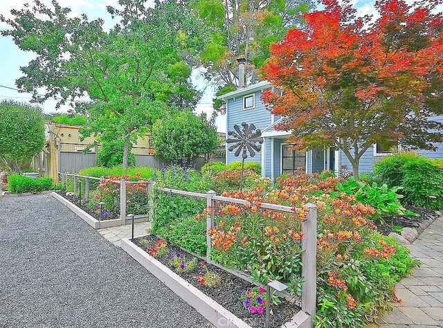 2031 Adams St, Yountville, CA 94599 - photo 5