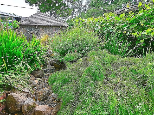 2031 Adams St, Yountville, CA 94599 - photo 57
