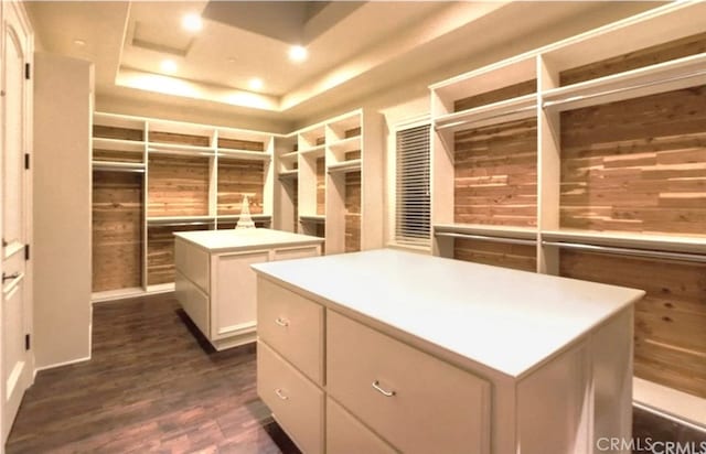 20391 Cypress St, Newport Beach, CA 92660 - walk in closet with a tray ceiling and dark wood-style flooring