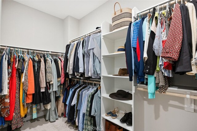 27227 Coyote Bush Ct, Valencia, CA 91381 - spacious closet featuring carpet flooring