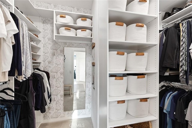 7476 Sequoia Ln, Highland, CA 92346 - view of walk in closet