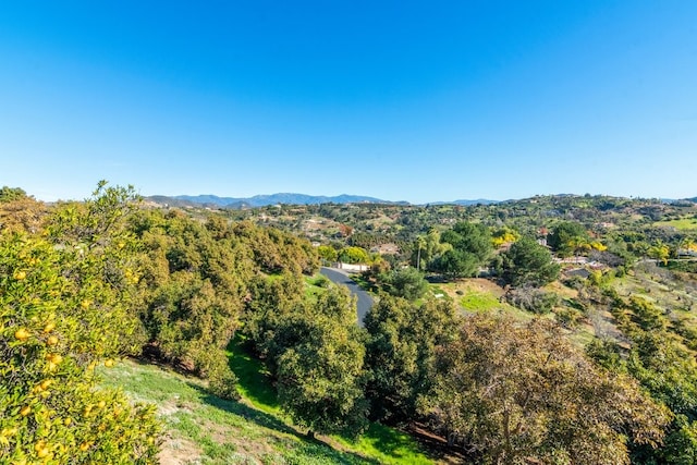 3322 Canonita Dr, Fallbrook, CA 92028 - photo 22