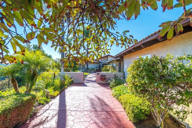 3322 Canonita Dr, Fallbrook, CA 92028 - photo 5