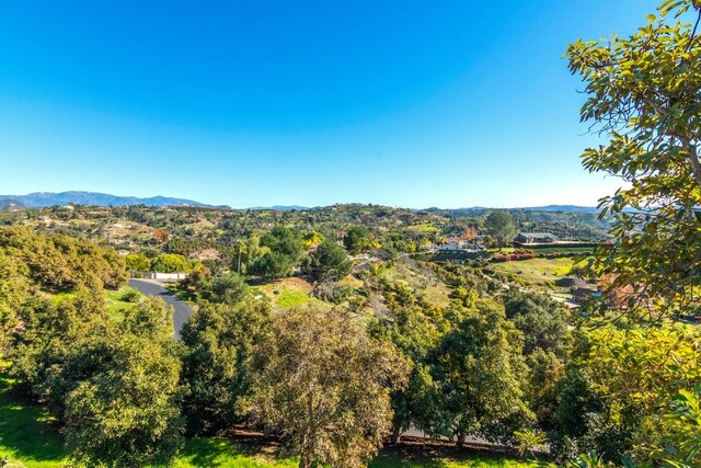 3322 Canonita Dr, Fallbrook, CA 92028 - photo 21