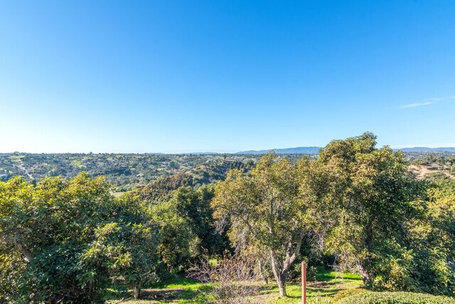 3322 Canonita Dr, Fallbrook, CA 92028 - photo 41