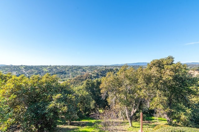 3322 Canonita Dr, Fallbrook, CA 92028 - photo 42