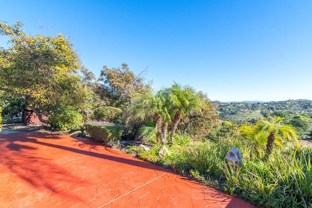 3322 Canonita Dr, Fallbrook, CA 92028 - photo 16