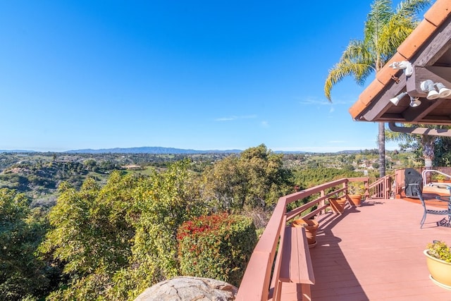 3322 Canonita Dr, Fallbrook, CA 92028 - photo 31