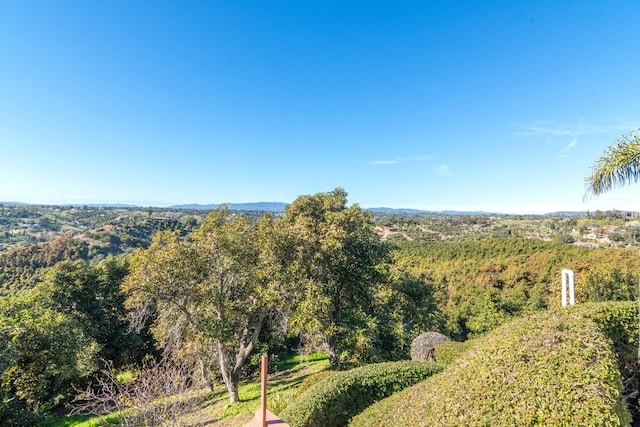 3322 Canonita Dr, Fallbrook, CA 92028 - photo 43