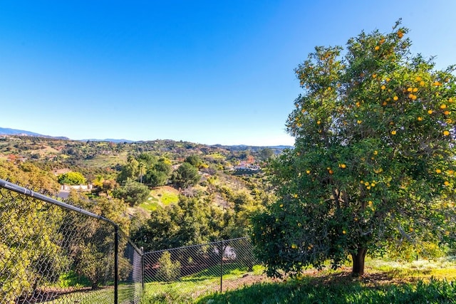 3322 Canonita Dr, Fallbrook, CA 92028 - photo 18